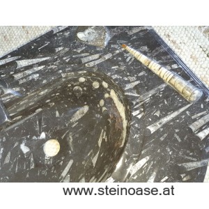Waschbecken / Steinschale Fossilien-Marmor